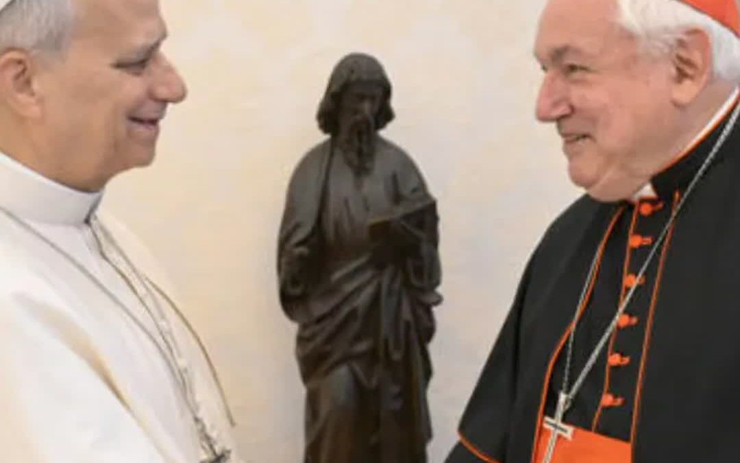 Pope Leo XIV urges French bishops to heal divisions and foster unity with TLM communities