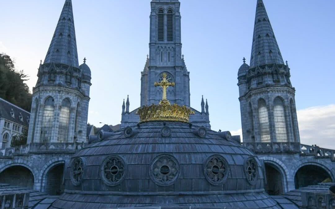 Pope writes to French Bishops on education, abuse, and liturgy – Vatican News