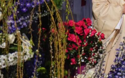 Photos show Pope Leo