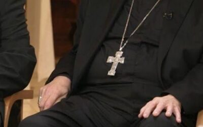 Pope Leo statements on Iran war and mass deportations inspire American cardinals to speak out