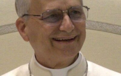 Pope Leo XIV Moving Towards Declaring that Illegitimate War is ‘Contrary to the Gospel’ – Catholic Stand