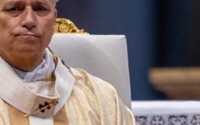 One Year On: Leo XIV The Listening Pope