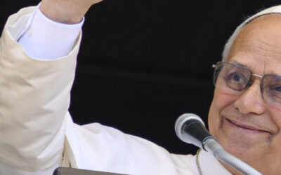 Pope Leo XIV: The Trinity teaches that every creature is made for communion