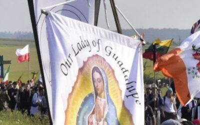 France’s traditionalist Catholics rally behind Pope Leo XIV after SSPX schism